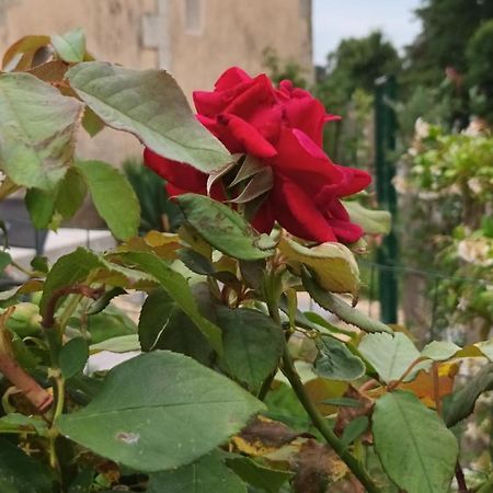 Gite Aux Vieux Bois Lunas  المظهر الخارجي الصورة