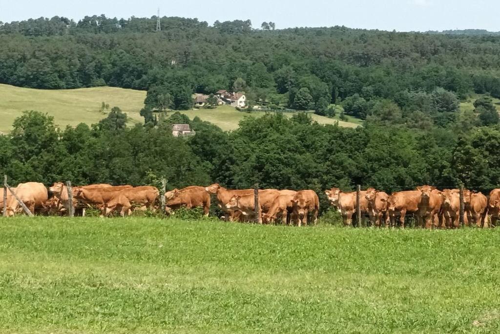 Gite Aux Vieux Bois Lunas  المظهر الخارجي الصورة
