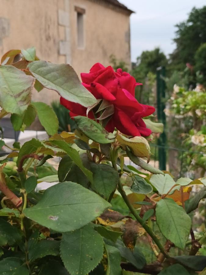 Gite Aux Vieux Bois Lunas  المظهر الخارجي الصورة